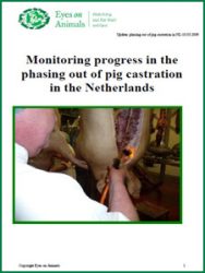 monitorin_pig_castration
